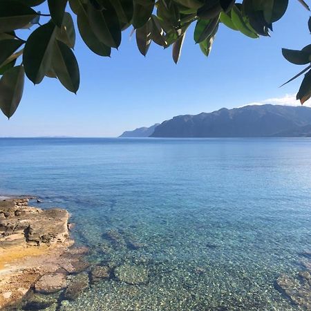 The Island House - Family Size Apt - Overlooking The Aegean - 3 Steps From The Beach Mochlos Exterior photo