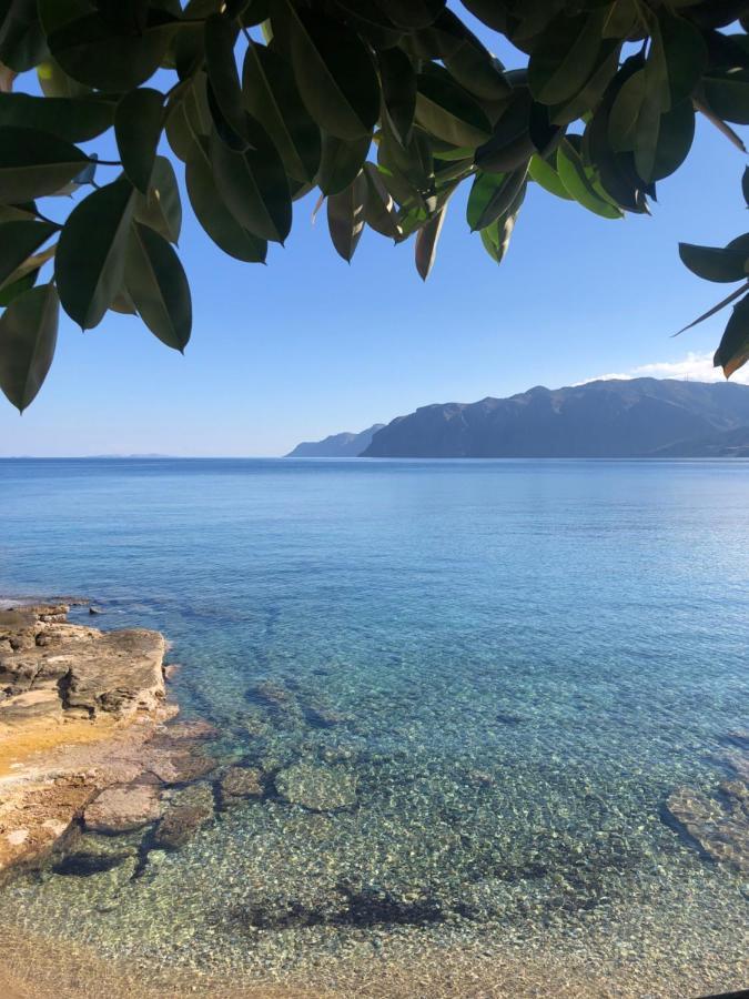 The Island House - Family Size Apt - Overlooking The Aegean - 3 Steps From The Beach Mochlos Exterior photo